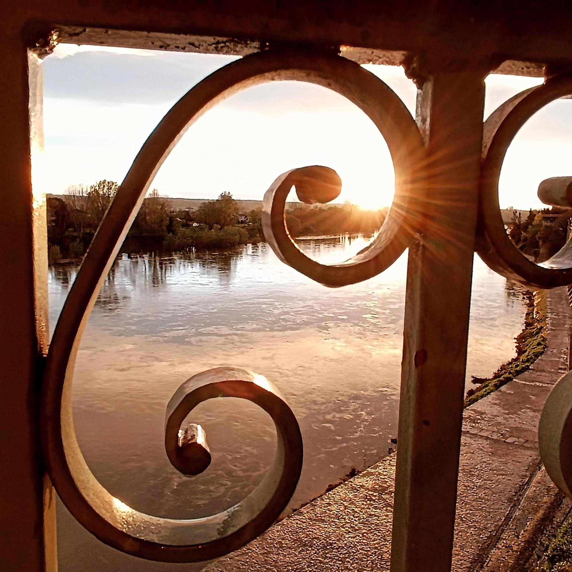 Hotel Restaurant Cote Garonne Le Balcon Des Dames - Tonneins Fauillet Marmande - Vue Panoramique Bord De Garonne Chambres Climatisees Экстерьер фото